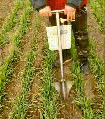 20220909166268761144424.gif