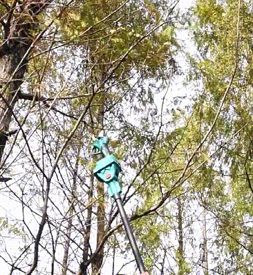1688202399897581.gif
